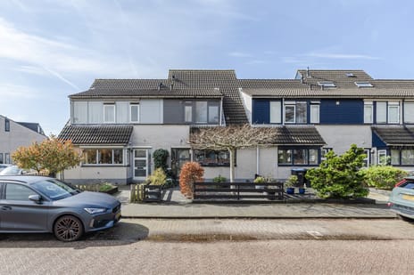 undefined main image