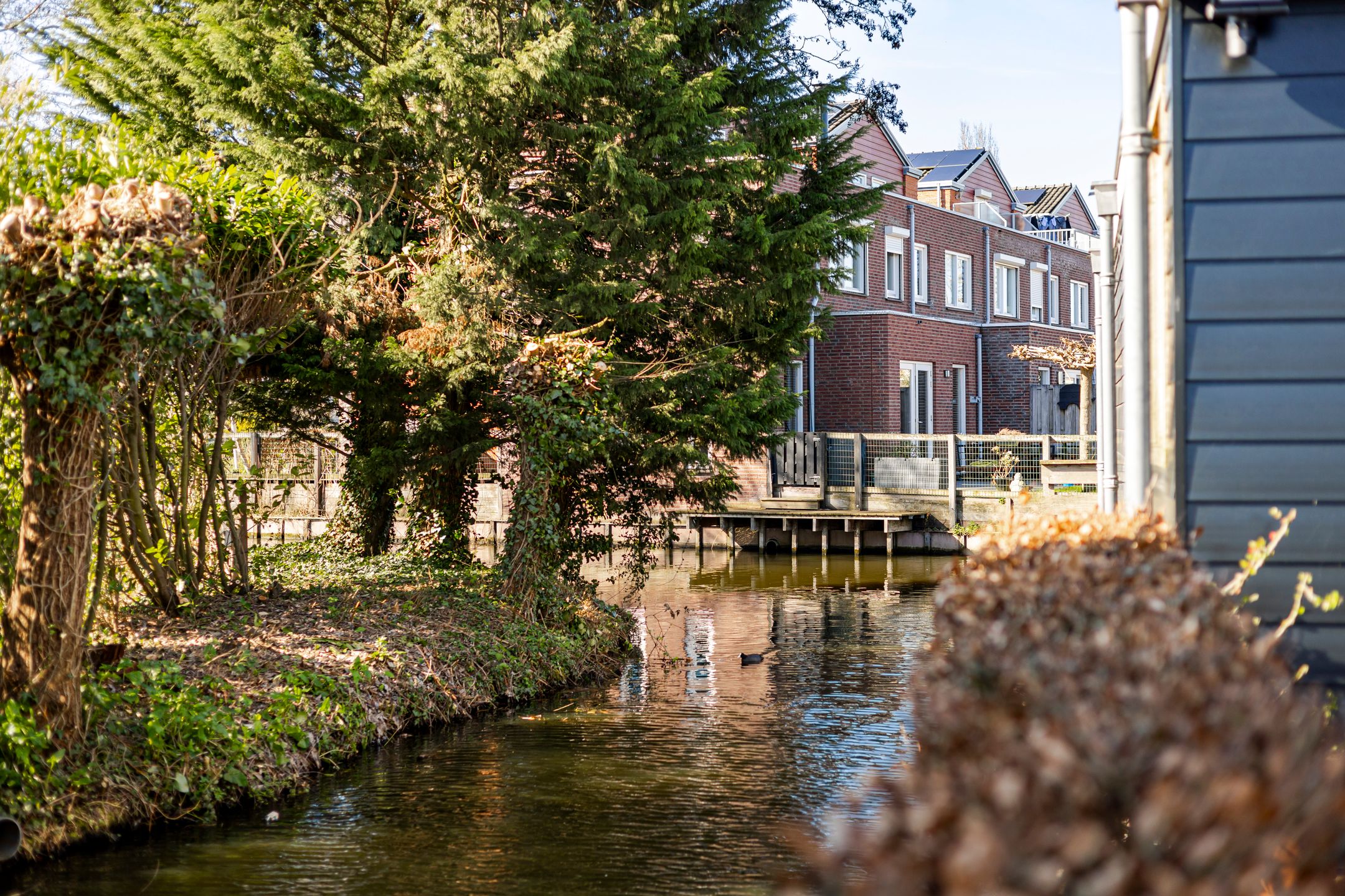 Foto 81 van Graafland 8-C