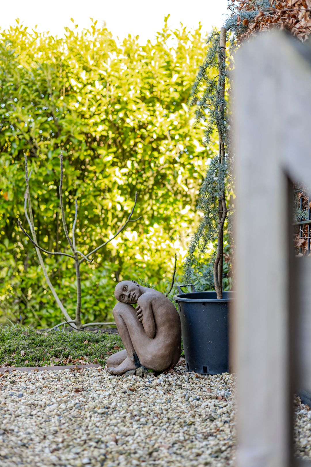 Foto 76 van Graafland 8-C