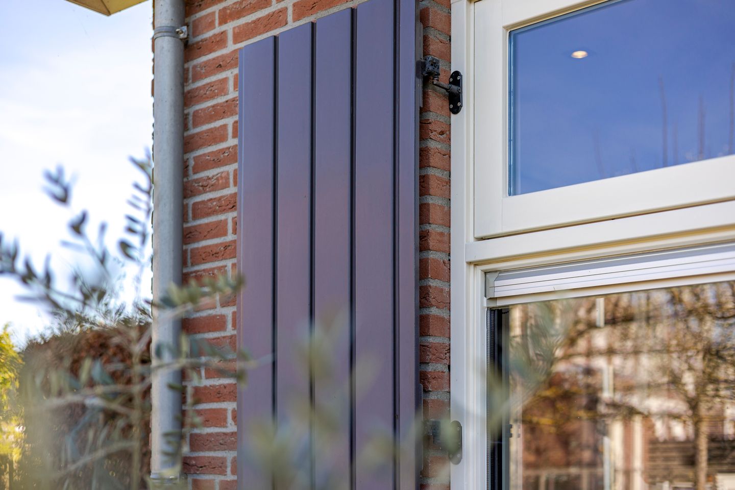 Foto 74 van Graafland 8-C