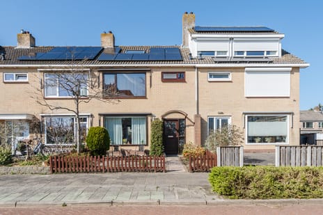 undefined main image