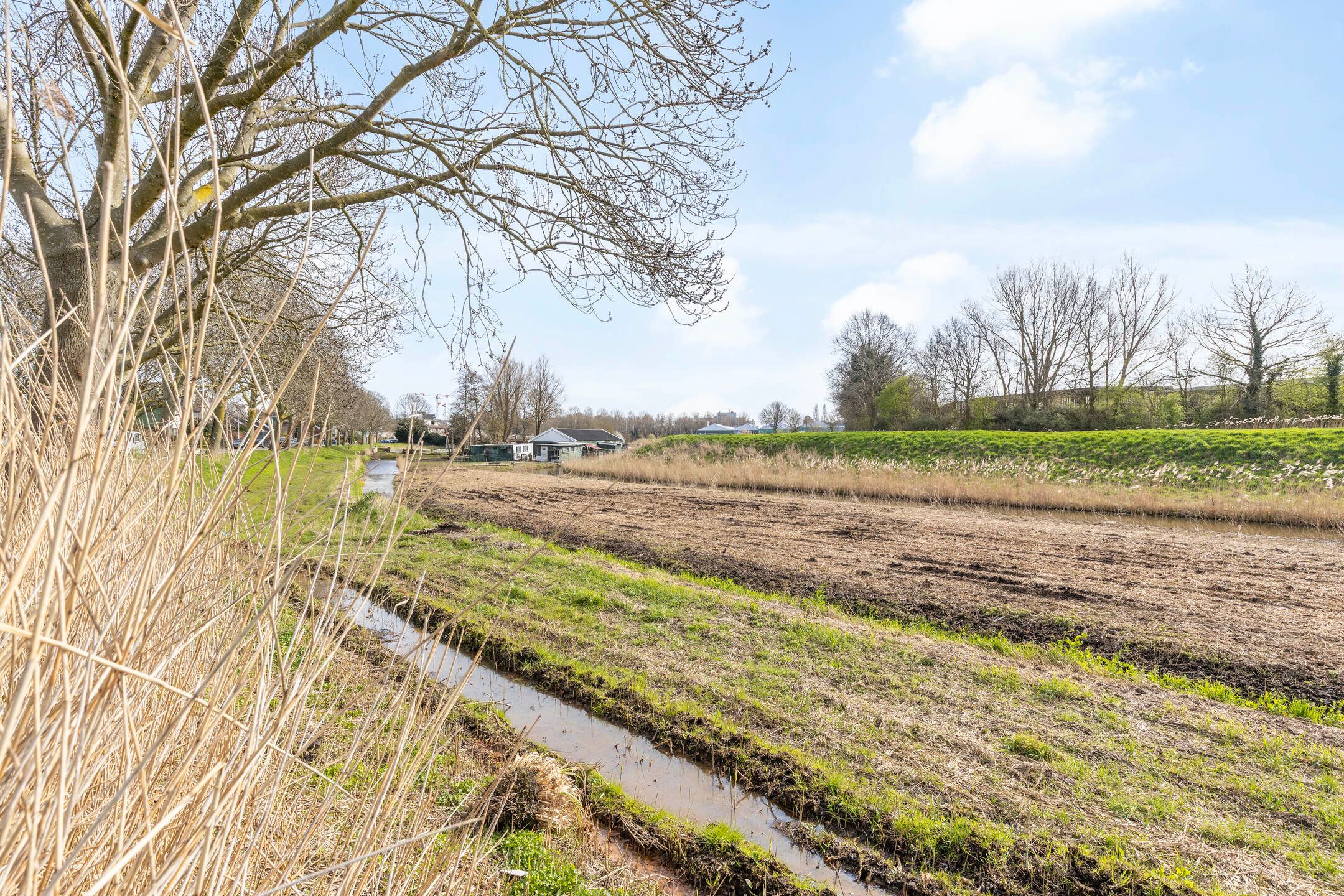 Foto 39 van Florijn 5