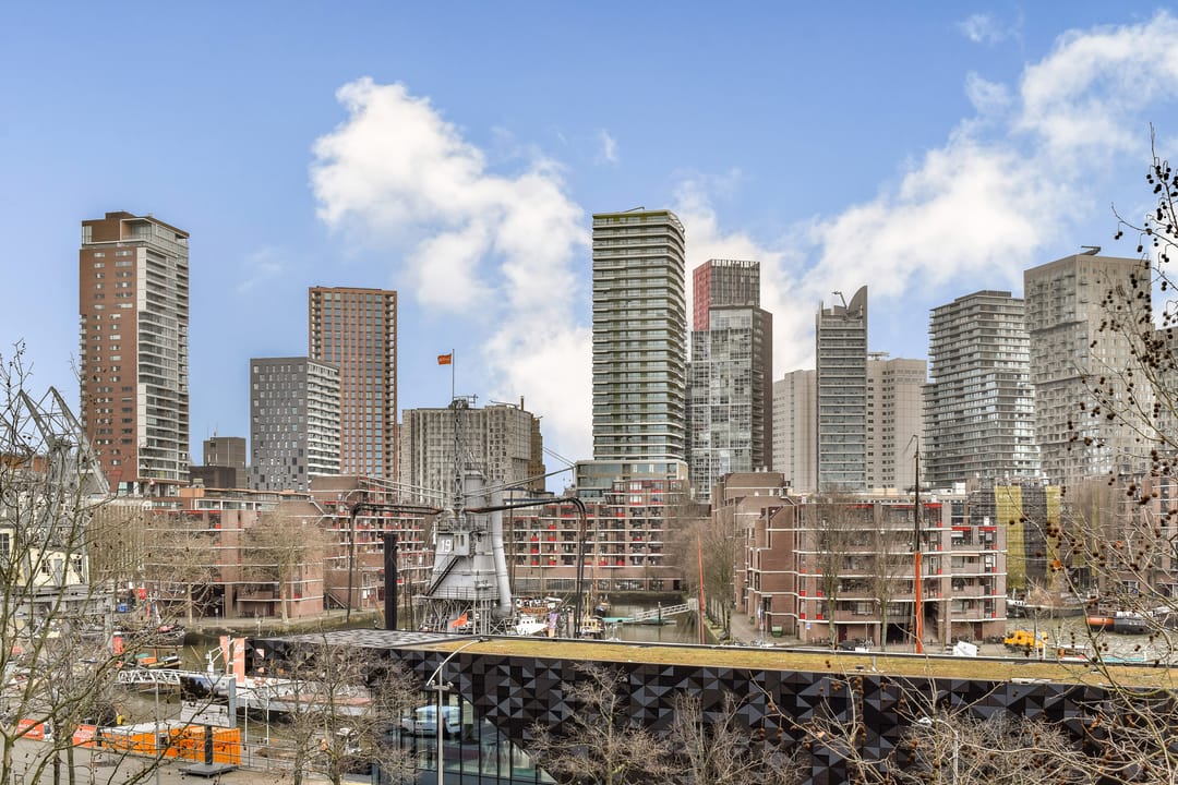 Foto 8 van Schiedamsedijk 69-D