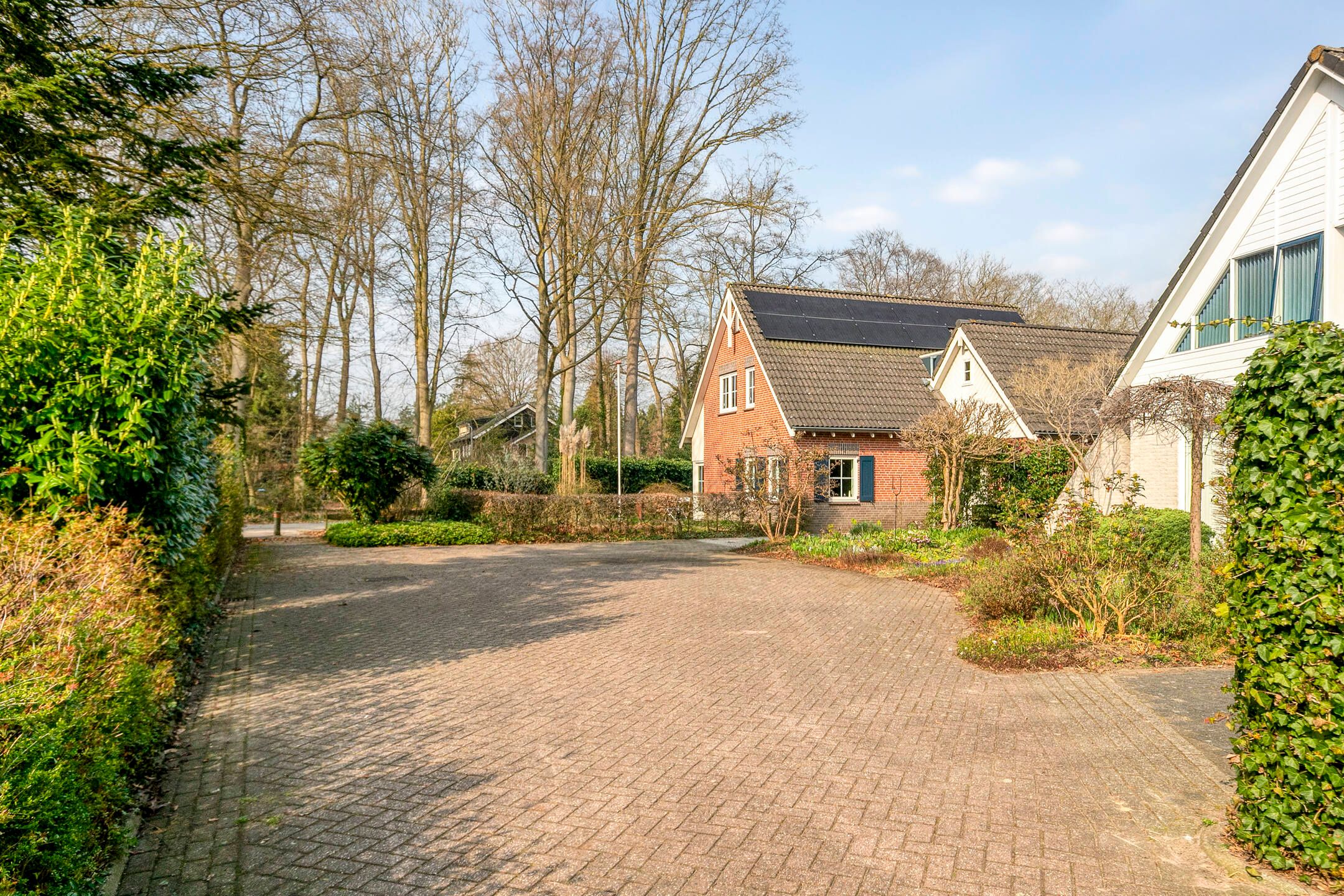 Foto 48 van De Schutterij 4