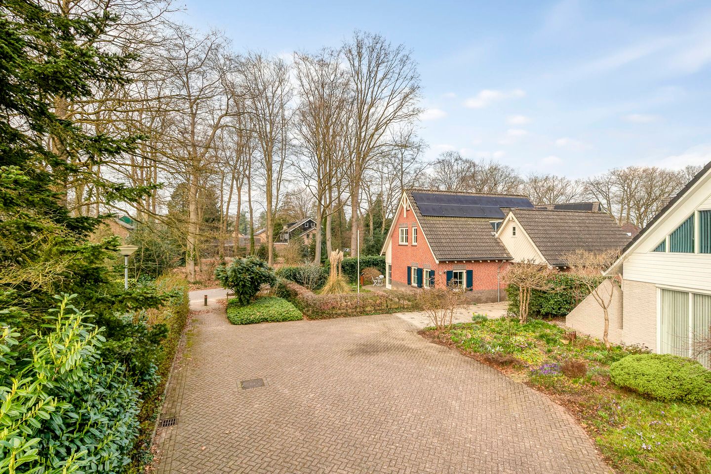 Foto 50 van De Schutterij 4