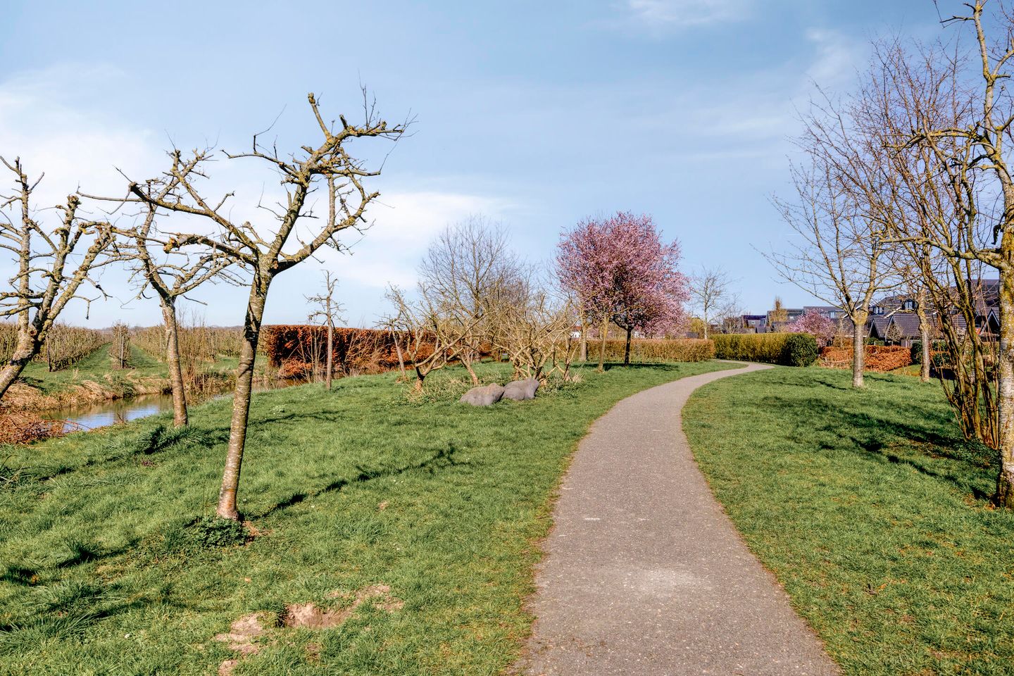 Photo 34 of Presidentperenlaan 7