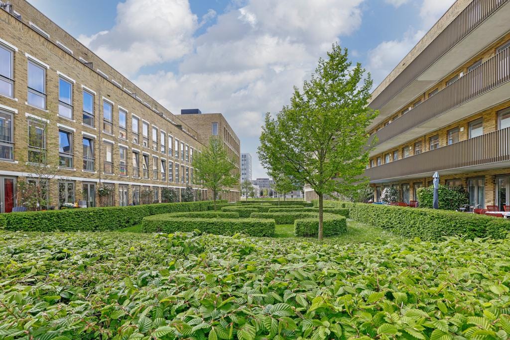 Foto 18 van Blauwvoetstraat 47