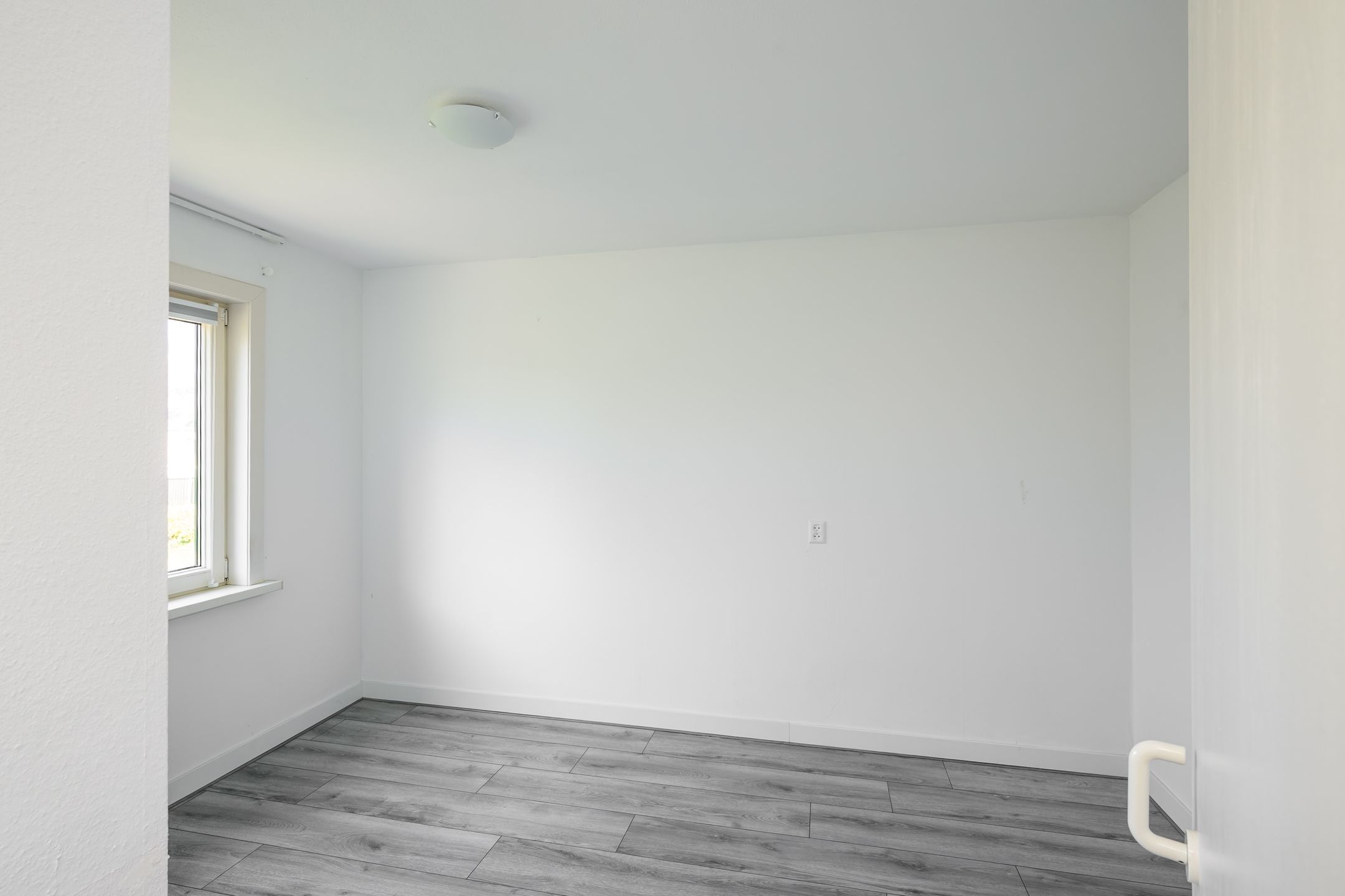 Foto 12 van Haydnplantsoen 82