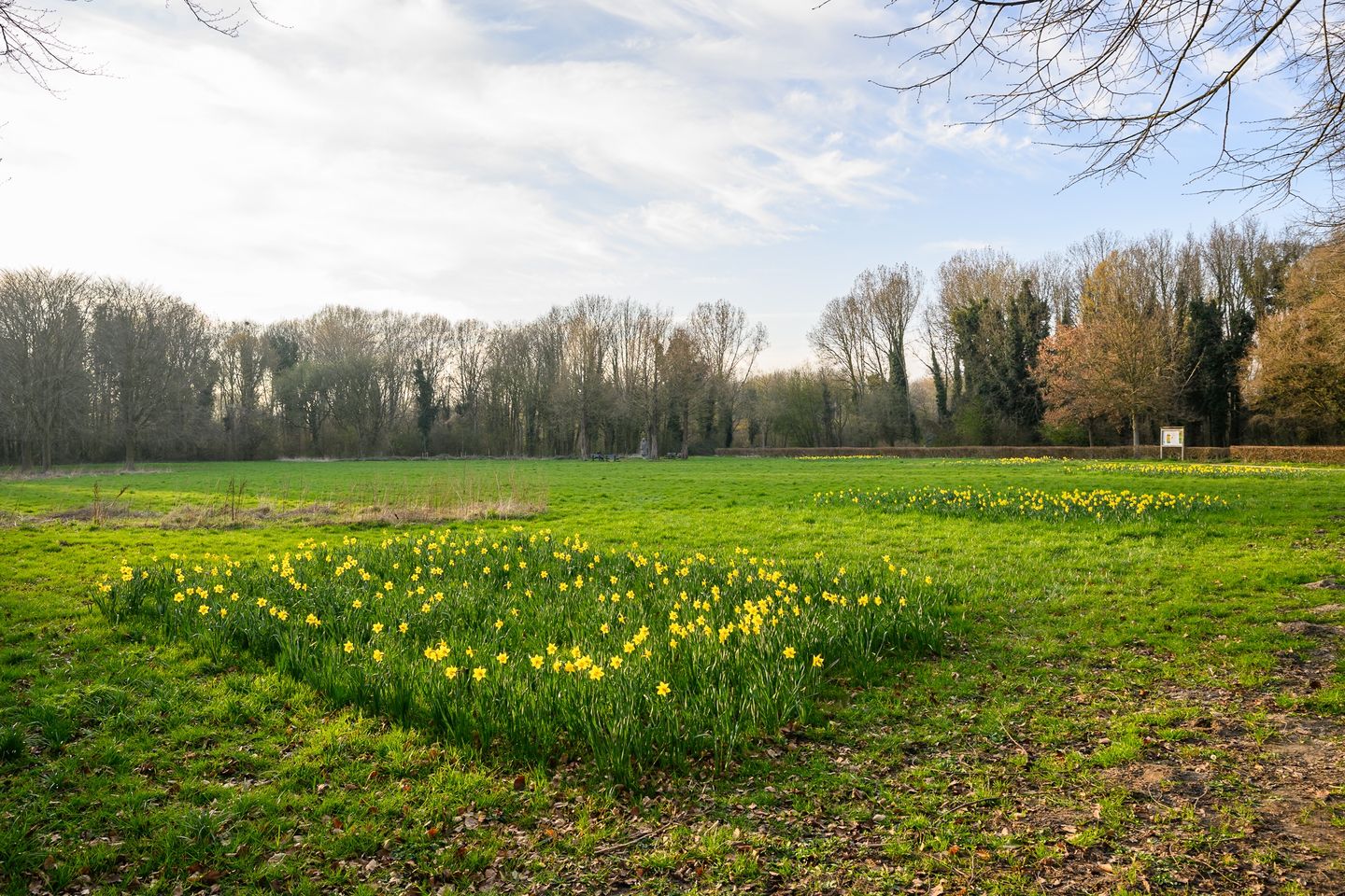 Foto 29 van Haydnplantsoen 82