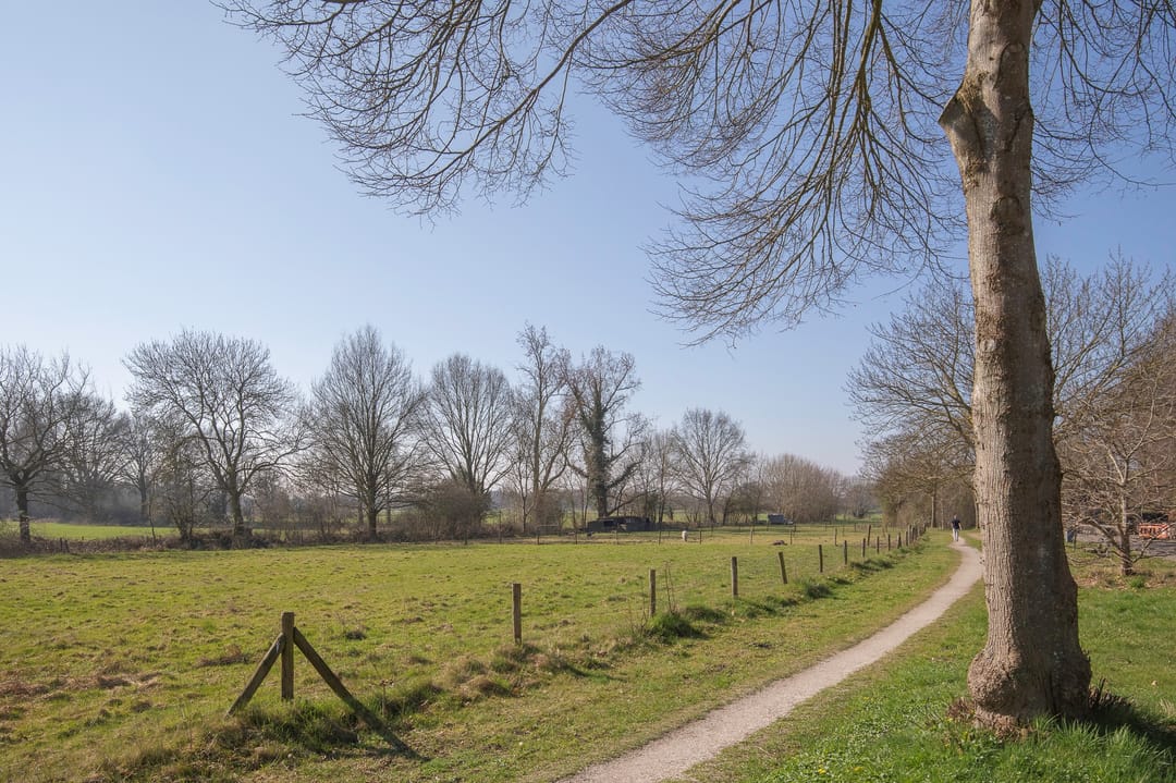 Foto 56 van Vestdijklaan 452