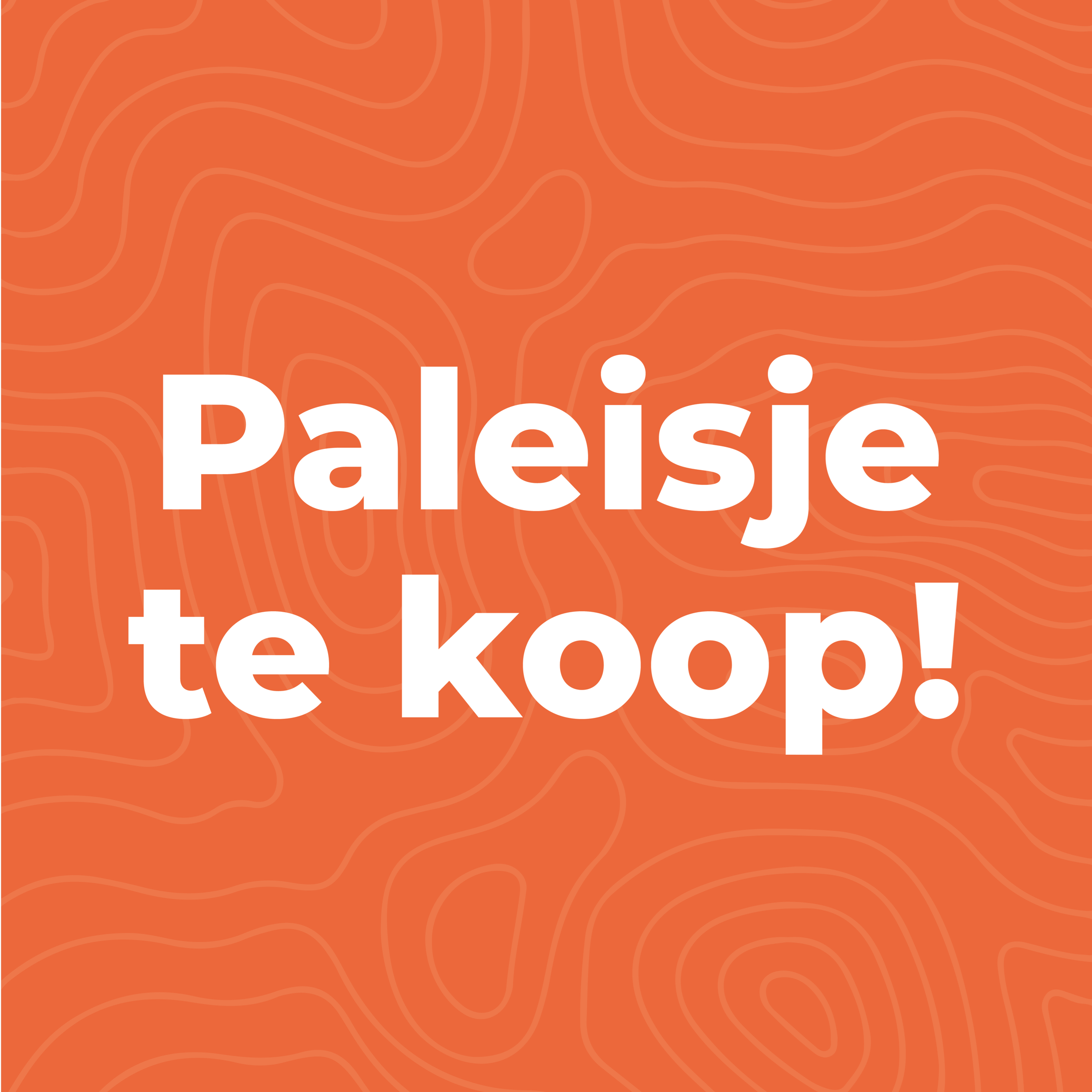 Foto 6 van Vestdijklaan 452