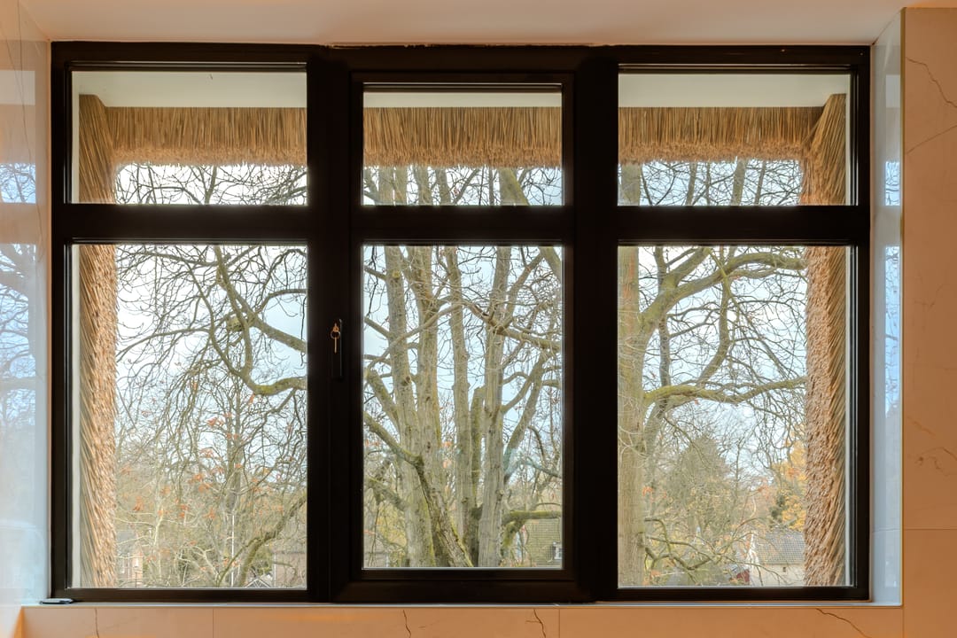 Foto 23 van Van Reenenpark 14