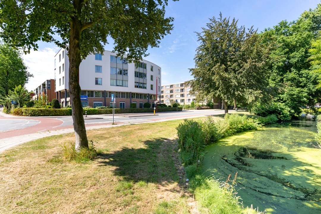 Photo 37 of van Reeslaan 65