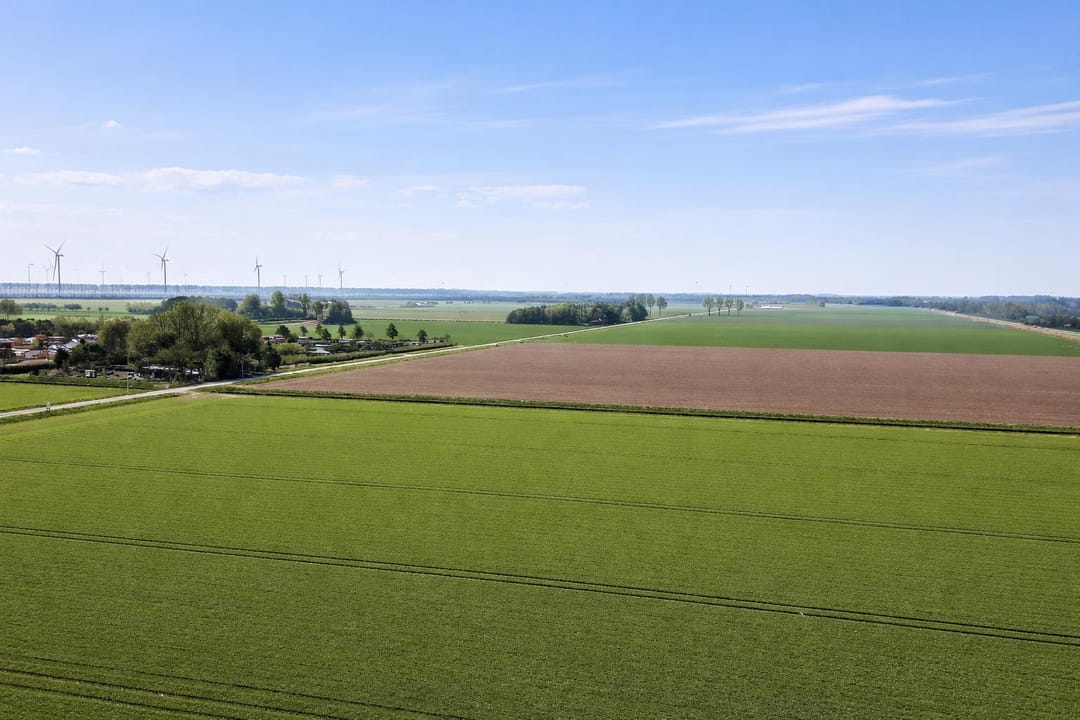 Foto 2 van Hoogaars 47