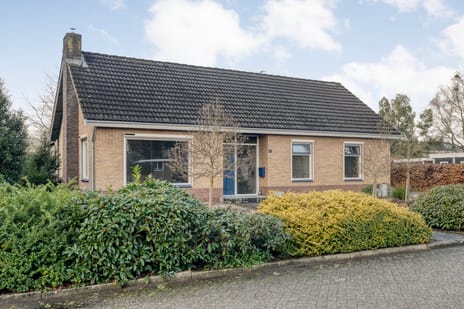 undefined main image