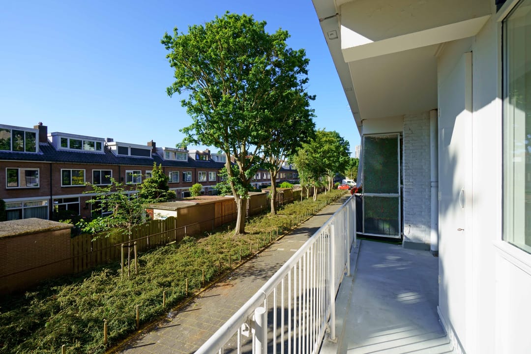 Foto 8 van Escamplaan 414