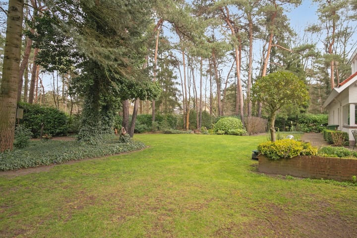 Foto 4 van Sperwerlaan 1