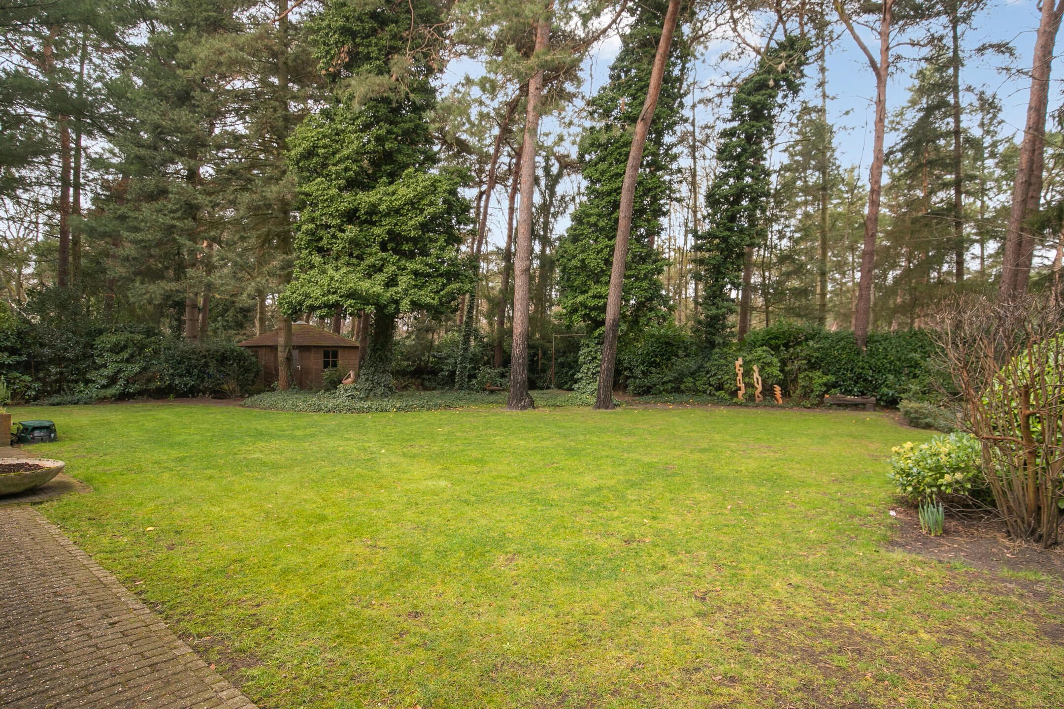 Foto 48 van Sperwerlaan 1