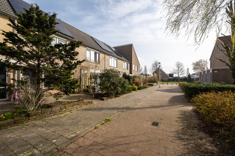 Meerkoet 39 secondary image