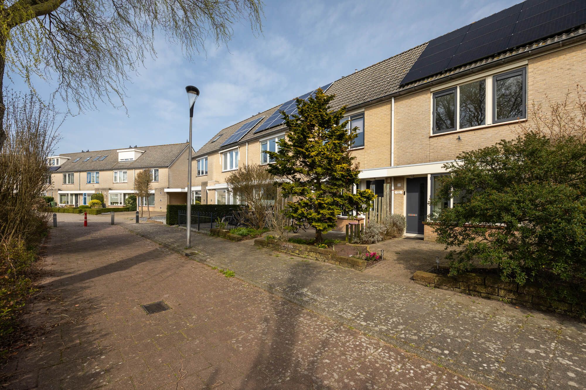 Foto 39 van Meerkoet 39