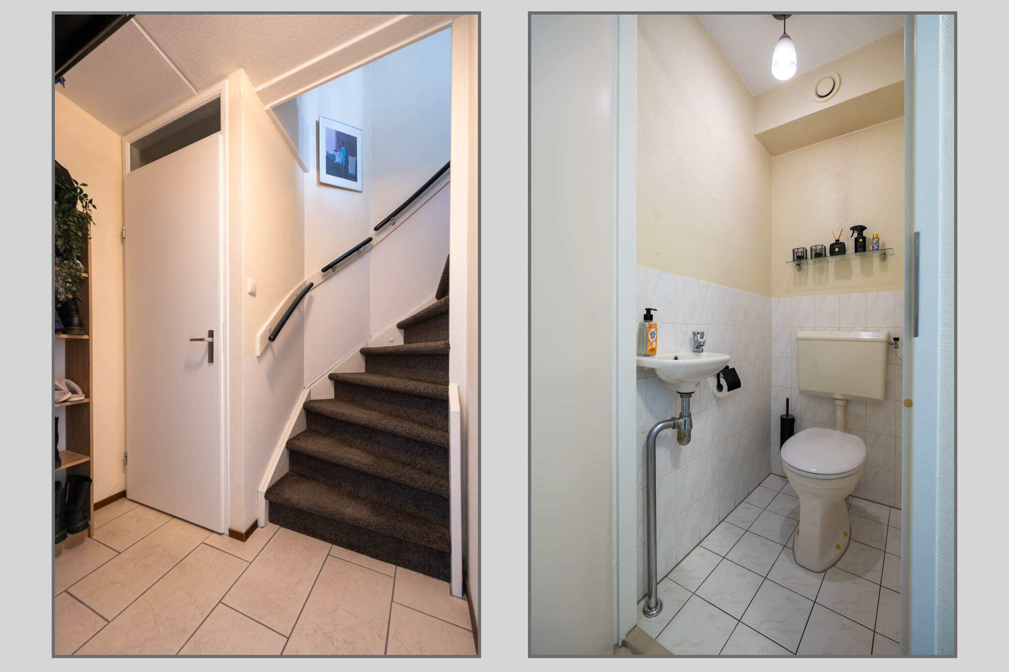 Foto 12 van Meerkoet 39