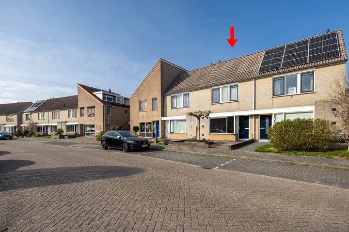 Foto 4 van Lijster 39