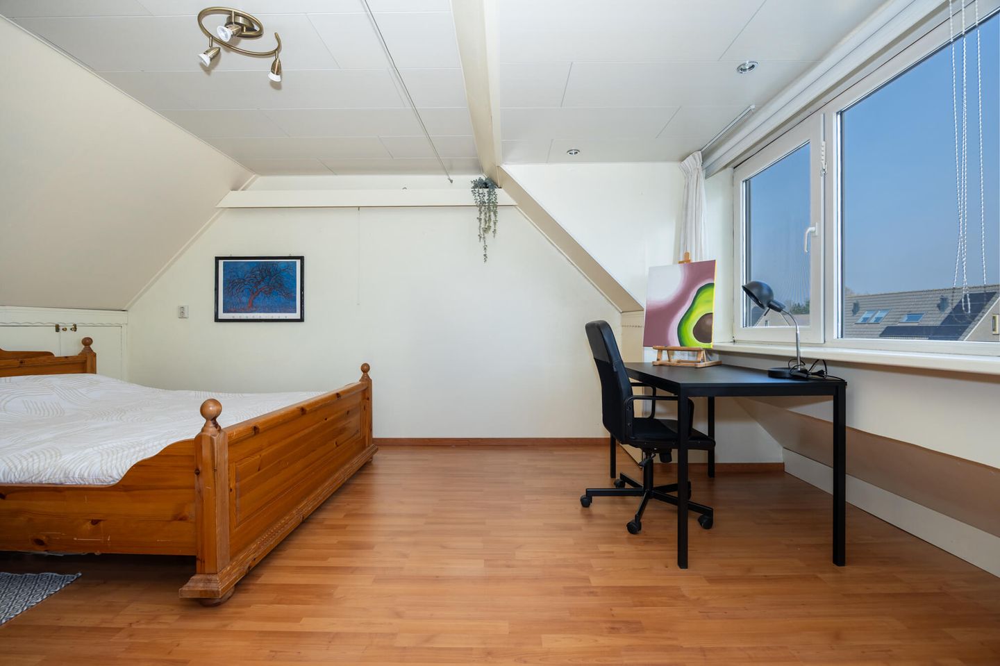 Foto 29 van Meerkoet 39