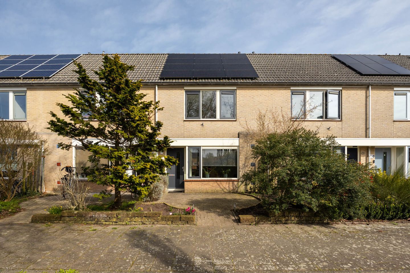 Foto 1 van Meerkoet 39