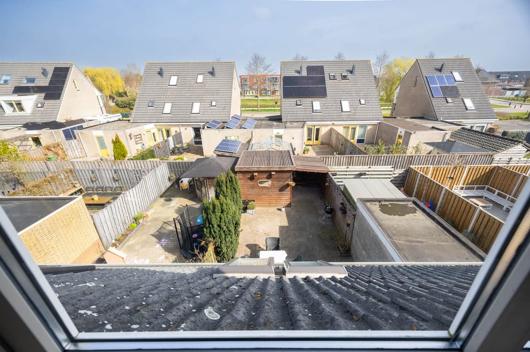 Foto 31 van Meerkoet 39