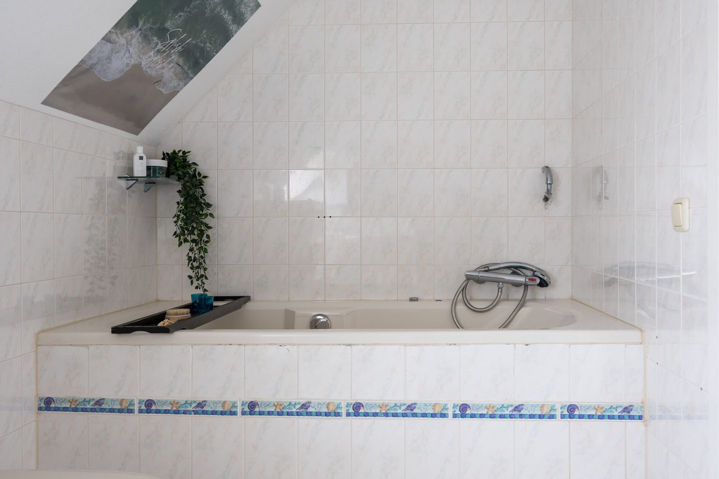 Foto 20 van Meerkoet 39