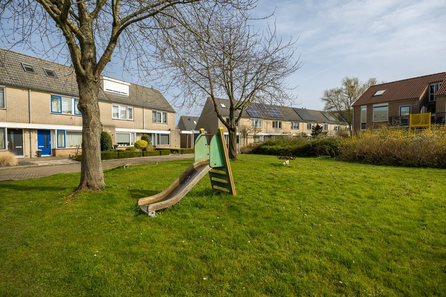 Foto 40 van Meerkoet 39