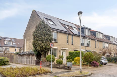 undefined main image