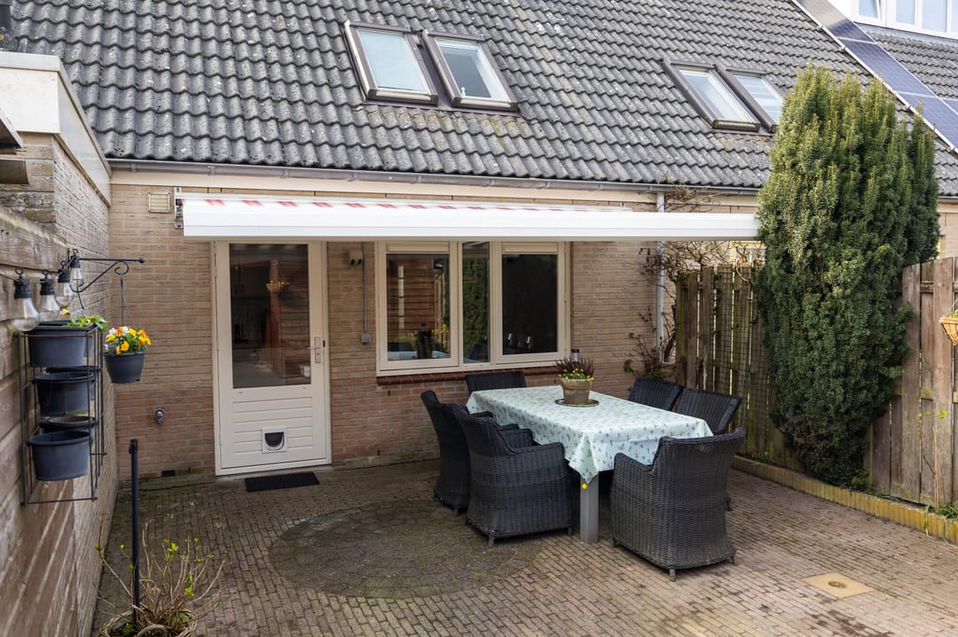 Foto 37 van Meerkoet 39