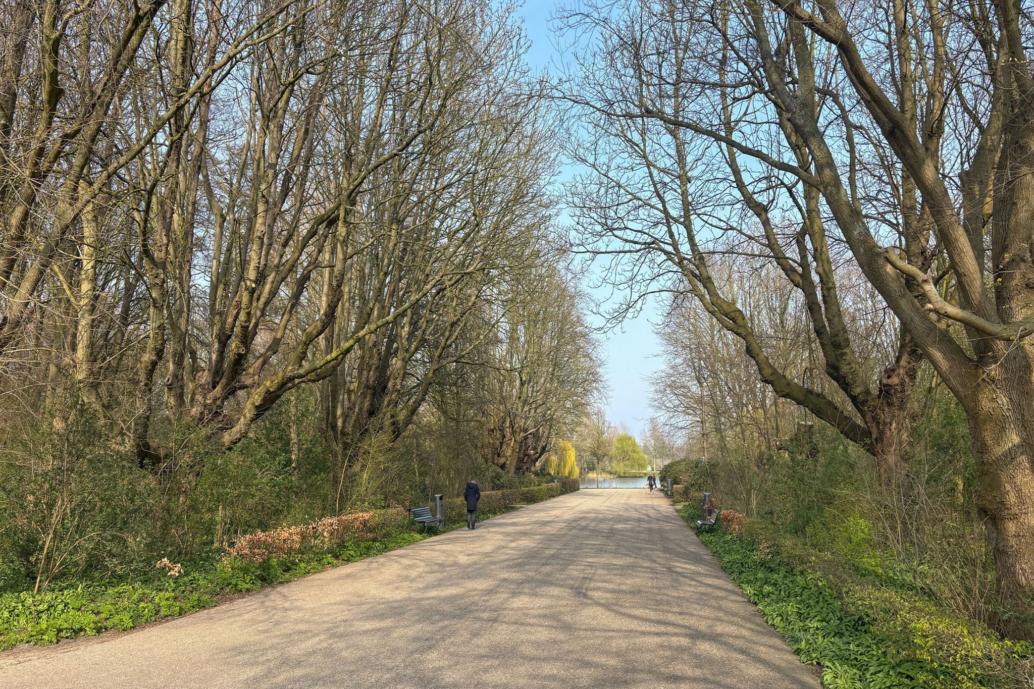 Foto 30 van Sumatraplantsoen 34-A