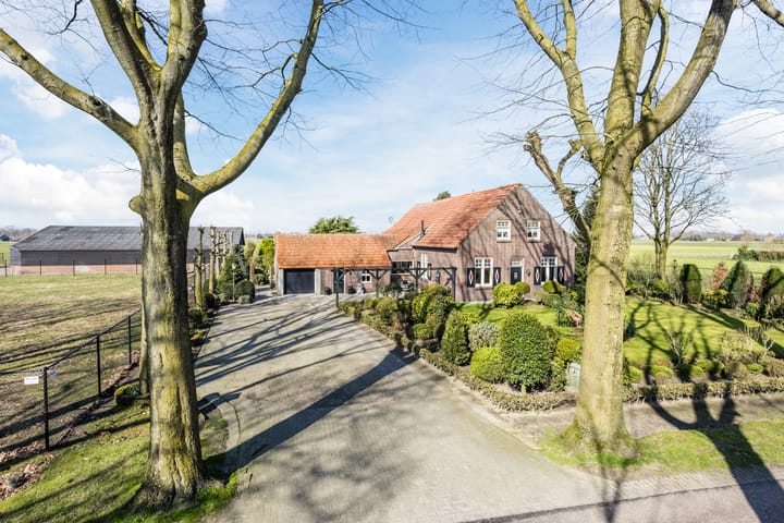 Gerele Peel 8 main image