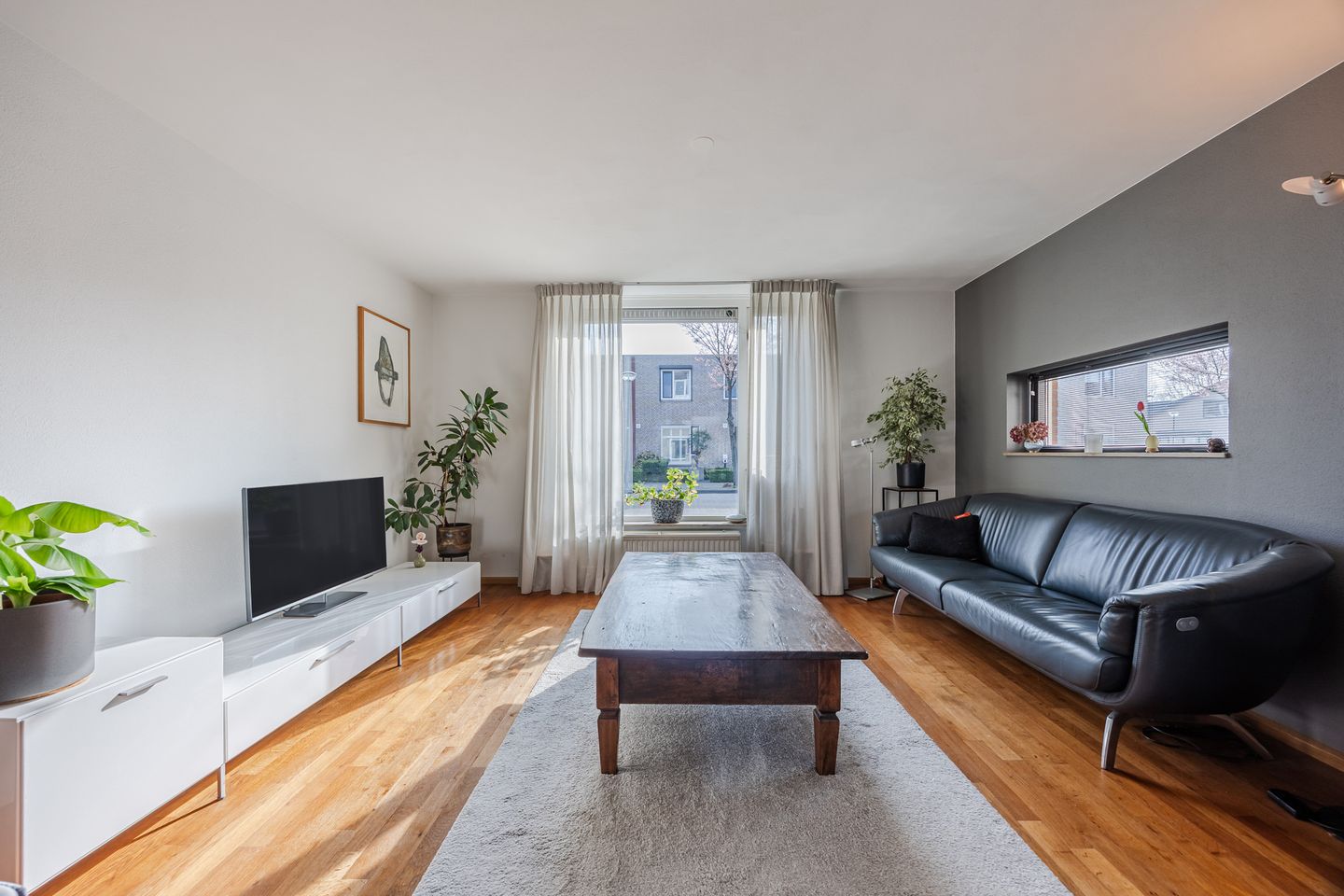 Photo 4 of Regenwulp 13