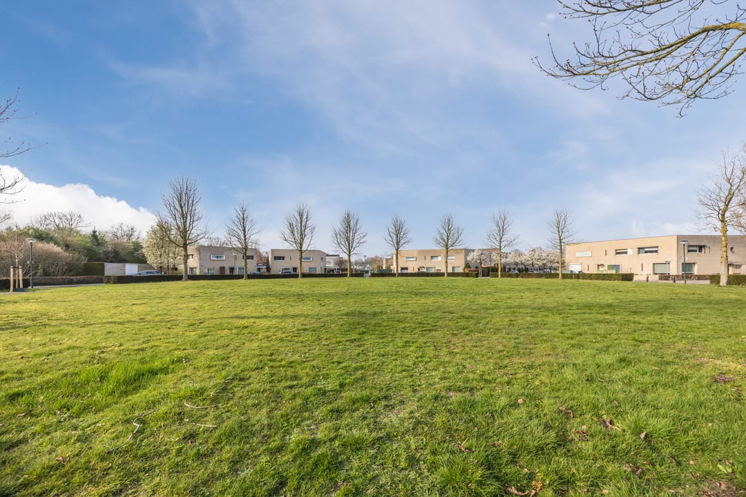 Photo 53 of Regenwulp 13