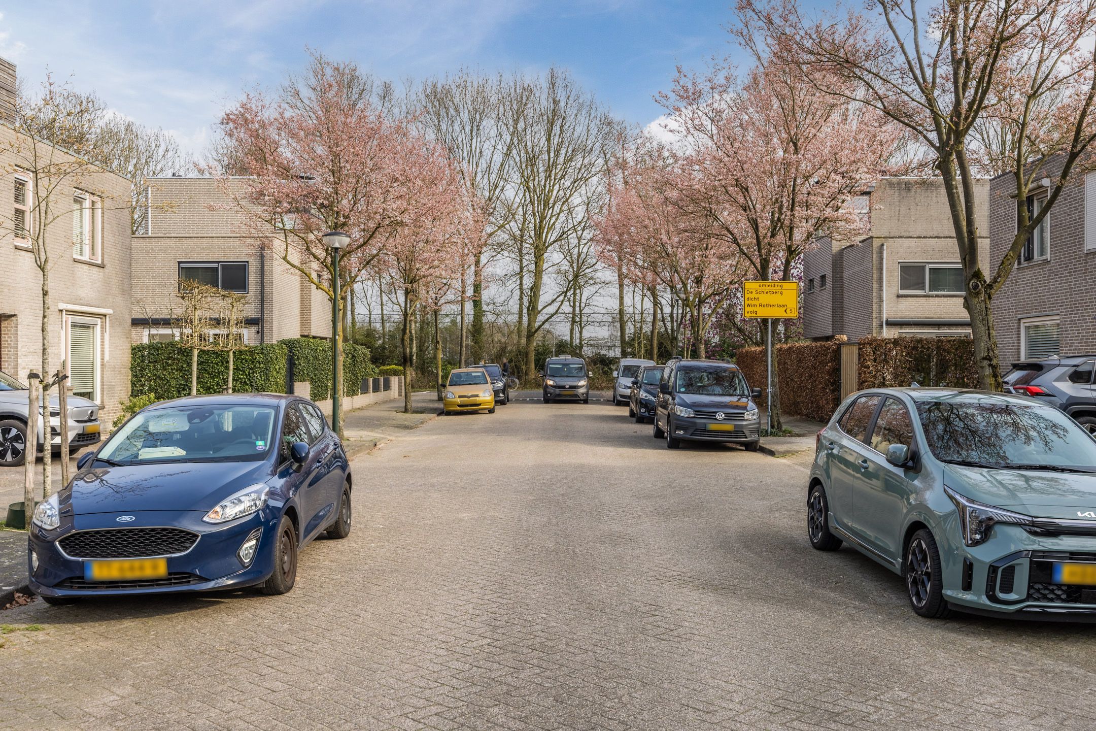 Photo 51 of Regenwulp 13