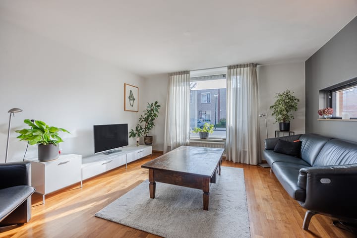 Foto 3 van Regenwulp 13