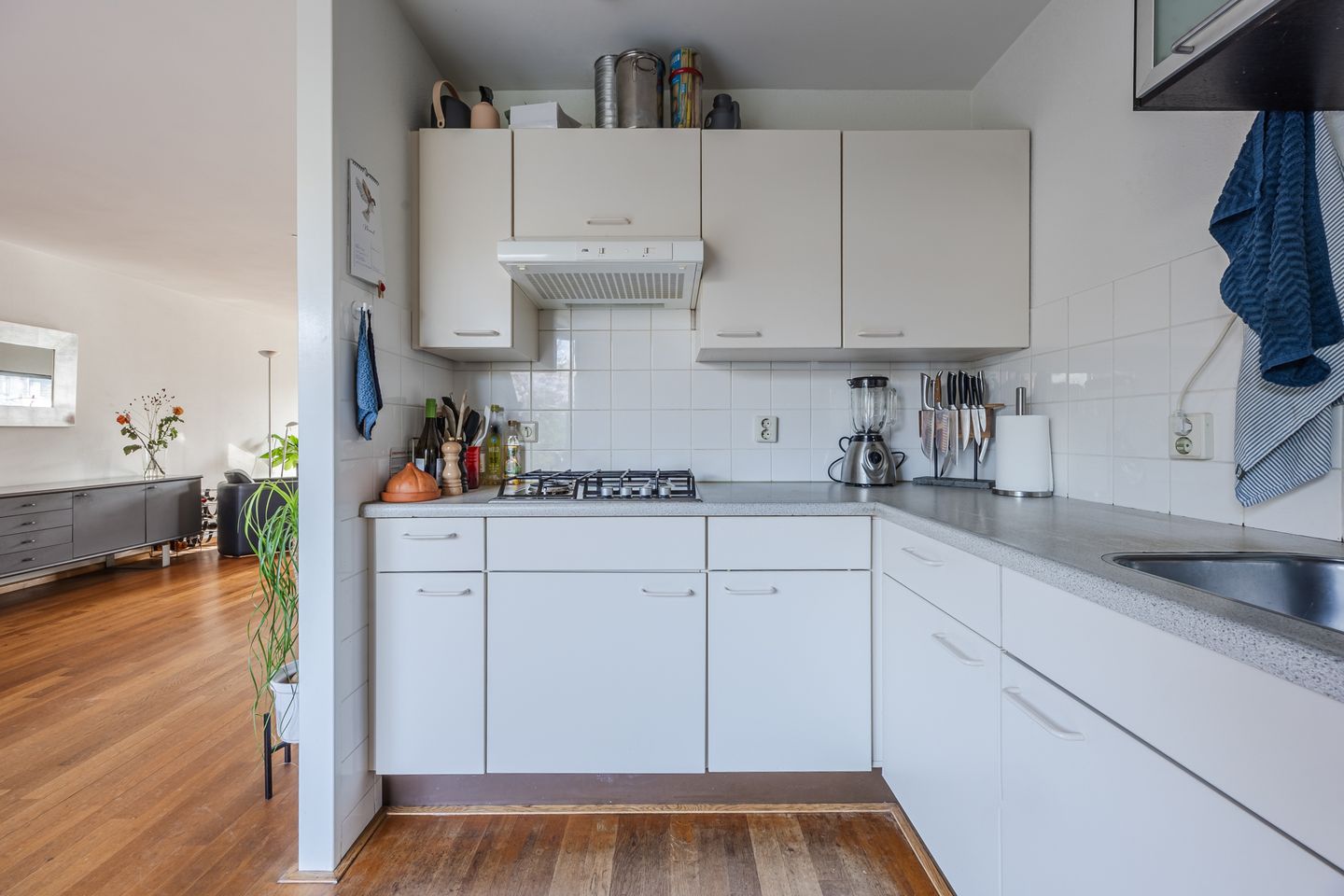 Photo 14 of Regenwulp 13