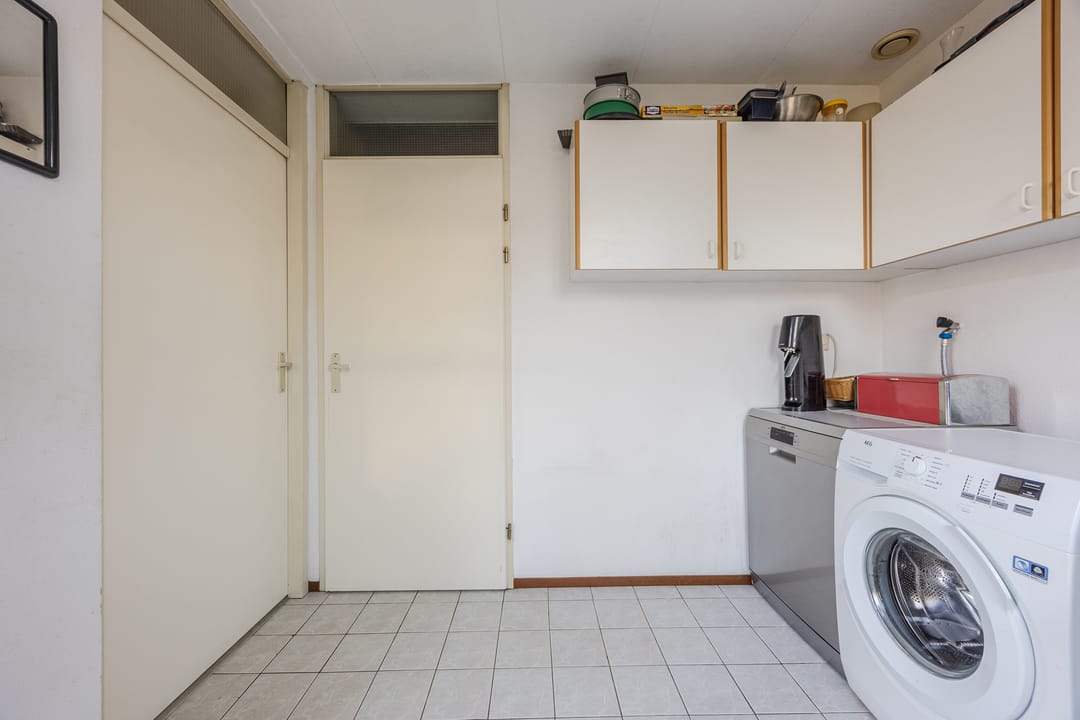 Photo 16 of Regenwulp 13