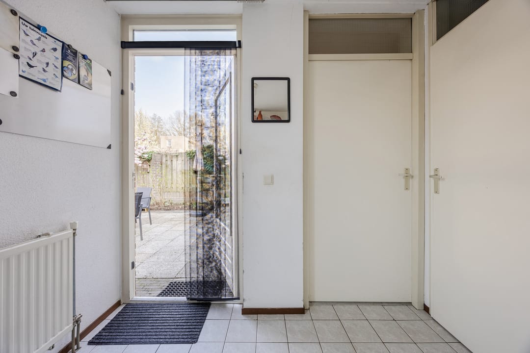 Photo 17 of Regenwulp 13