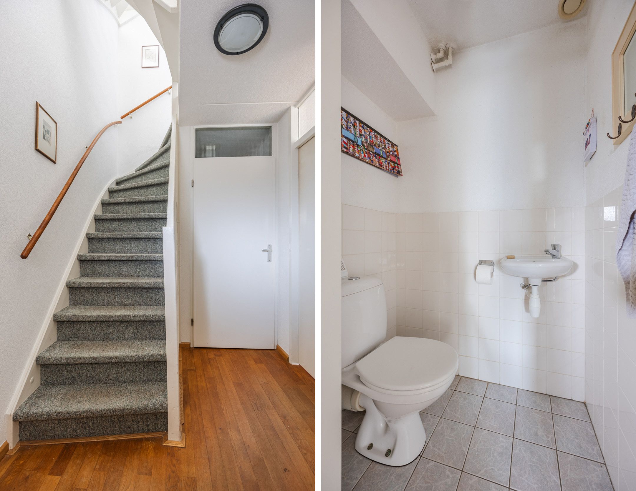 Photo 18 of Regenwulp 13