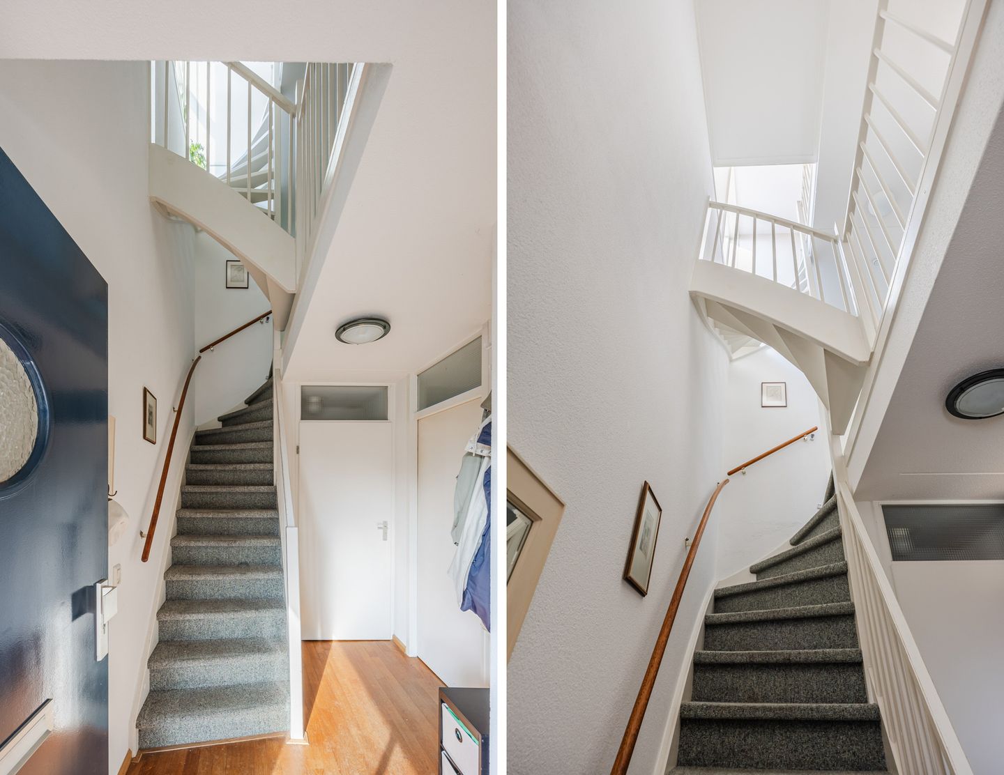 Photo 19 of Regenwulp 13