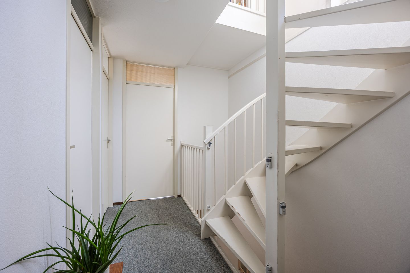 Photo 20 of Regenwulp 13