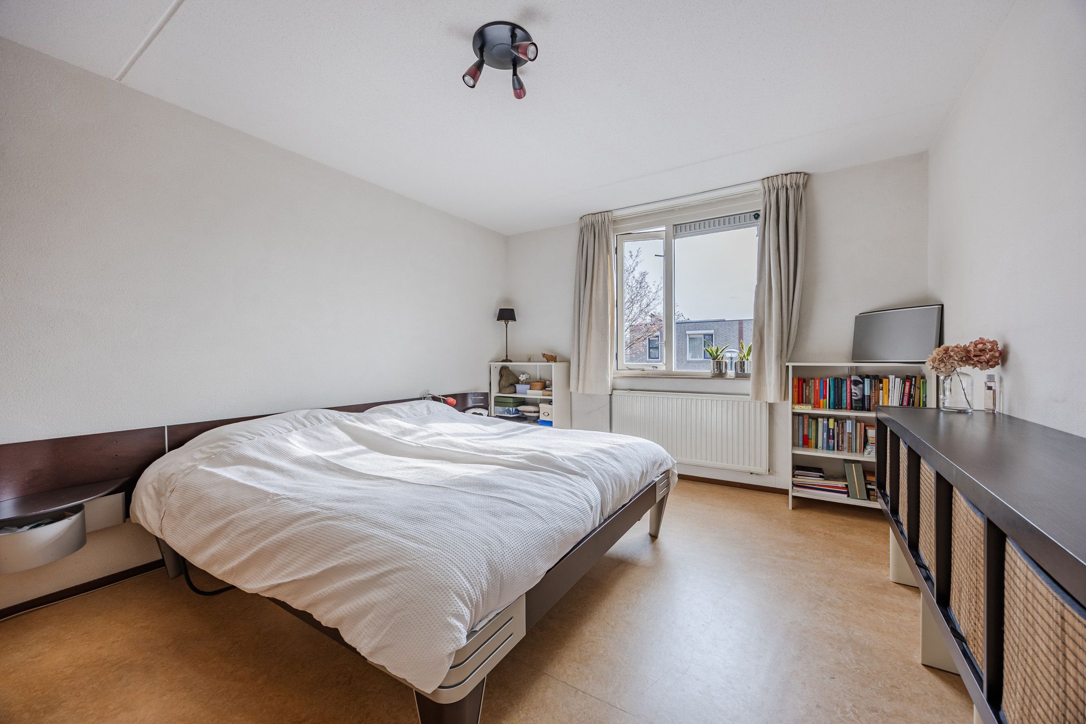 Photo 21 of Regenwulp 13