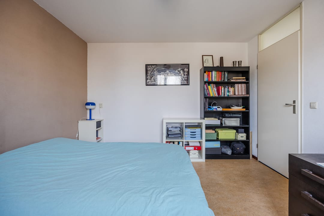 Photo 26 of Regenwulp 13