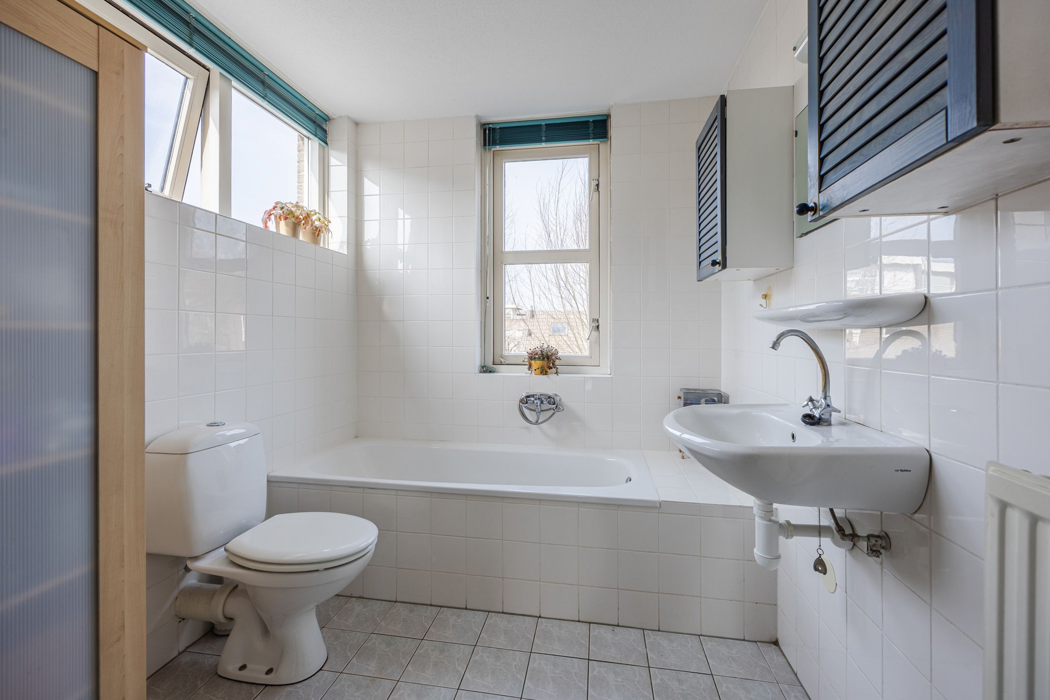 Photo 27 of Regenwulp 13