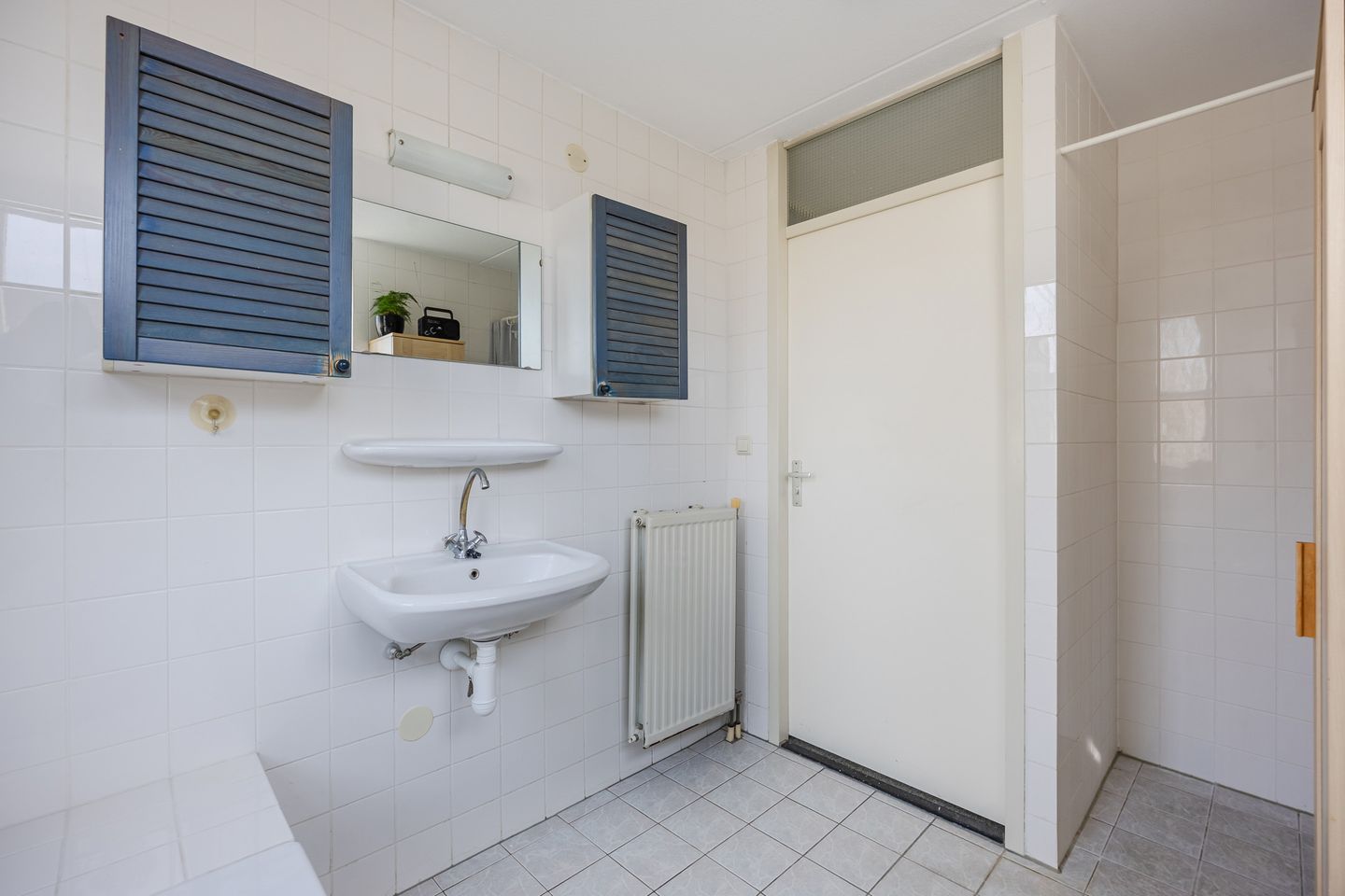 Photo 29 of Regenwulp 13