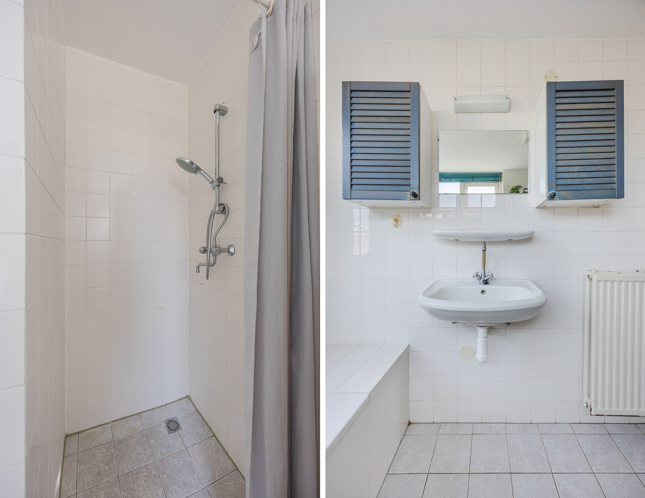 Photo 30 of Regenwulp 13